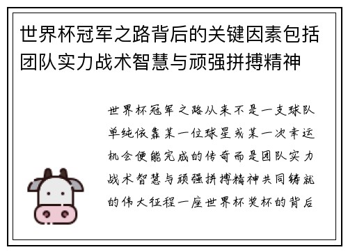 世界杯冠军之路背后的关键因素包括团队实力战术智慧与顽强拼搏精神