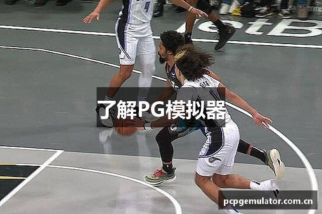 了解PG模拟器